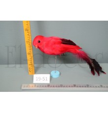Птичка красная 35 см 19-51